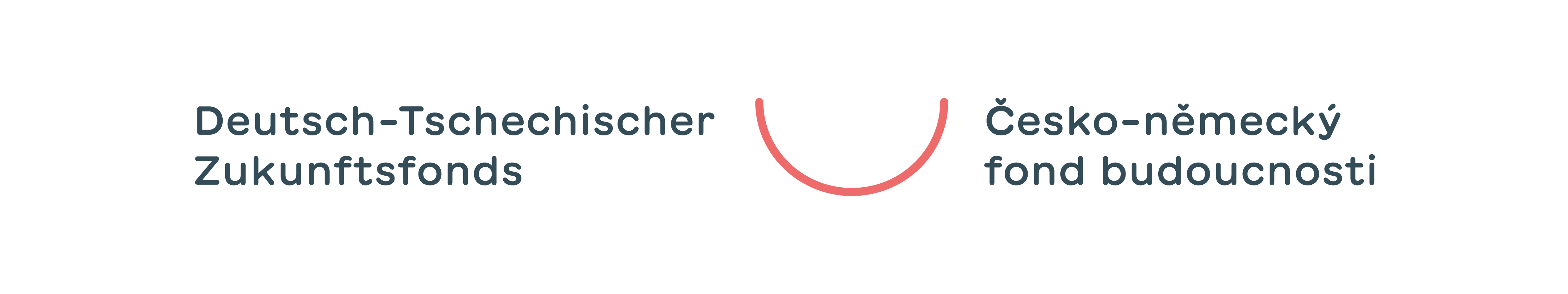 Logo Deutsch Tschechischer Zukunftsfond
